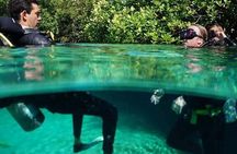 Tulum Discover Scuba Diving: Wonders of the Underwater World