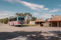 Full-Day Mayan Adventure: Coba Ruins and Cenote Swim Tour