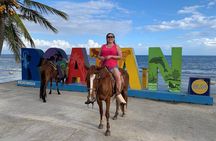 1 HR Horseback riding + Sloths, Island Tour & Beach Break 