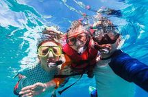 Cayman Adventure: Starfish Point, Stingray City and Coral Gardens