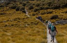 wulinantikala / Cradle Mountain Hiking Tour - 4 Days