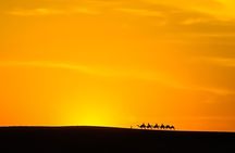 Agafay Desert Package, Quad Bike, Camel Ride and Dinner Show