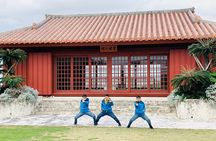 Port Pick-Up: Naha Private Tour Licensed Guide＆ Vehicle