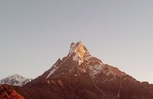4 Days Private Mardi Himal Base Camp Trek