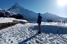 4 Days Private Mardi Himal Base Camp Trek