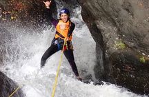 Behana Adventure Tour by Cairns Canyoning 