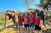 1 Day Eco Elephant Excursion