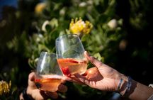 Private Gin & Tonic Sightseeing and Tasting in Cape Town