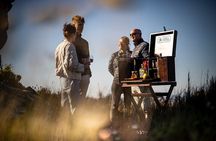 Private Gin & Tonic Sightseeing and Tasting in Cape Town