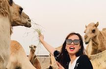 Morning Red Dune Safari with Sandboarding and Camel Ride