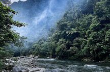 4 Day Jungle Adventure including 2 day trek