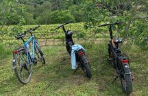 Kefalonia Wine Tour on E-Bikes