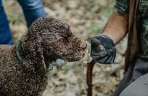 Truffle Hunting in Tuscany