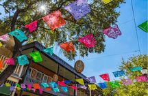 San Antonio : Private Custom Walking Tour With A Guide (Private)