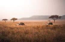4 Days Tanzania Private Lodge Safari