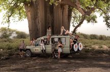 4 Days Tanzania Private Lodge Safari