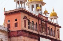 Private Old Delhi Markets and Temples Tour
