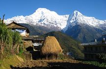 Pokhara: Dhampus Easy Trek for Families with YoungKids 2 Day Tour