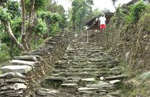 Pokhara: Dhampus Easy Trek for Families with YoungKids 2 Day Tour