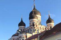 Half-Day Private Accessible City Tour in Tallinn