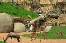 Experience Abuja Tour, All Inclusive