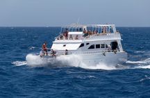Marsa Mubarak Sea Snorkeling Boat Trip From Marsa Alam