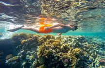 Marsa Mubarak Sea Snorkeling Boat Trip From Marsa Alam