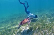 3 Hour Costa Maya Snorkeling Excursion - La Leyenda ECO-TOURS