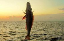  Fishing and Snorkelling by Speedboat Tour - Hurghada 