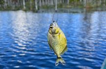 3 Hours Private Piranha Fishing in Lake Yacumama