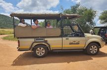 Full Day Safari from Johannesburg - Pilanesberg Nature Reserve
