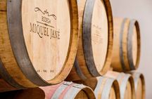 Viticulture and Wine-Tasting 3-Hour Trip from Barcelona