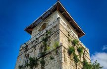 The tour of the must-see sites of Bohol