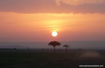 8-Day Private Safari Tour in Nairobi Kenya