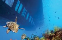 Marsa Alam: Royal Seascope Submarine cruise with pickup