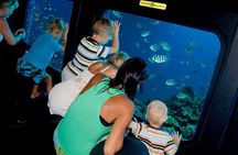 Marsa Alam: Royal Seascope Submarine cruise with pickup