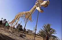 Morocco Sahara Tour from Marrakech to Merzouga Desert 4 days