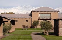 Winery Vistalba + Lunch Susana Balbo. Private transportation