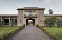Winery Vistalba + Lunch Susana Balbo. Private transportation
