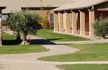 Winery Vistalba + Lunch Susana Balbo. Private transportation