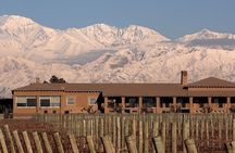 Winery Vistalba + Lunch Susana Balbo. Private transportation