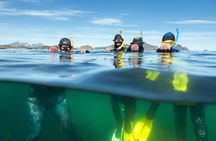 Lofoten Grand Canyon Snorkeling Tour
