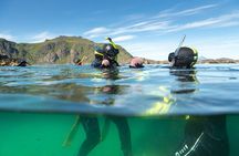 Lofoten Grand Canyon Snorkeling Tour