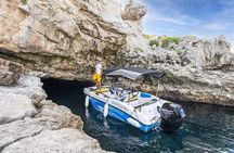 Private Speedboat Tour to Lim Fjord and Red Island