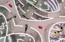 Immersive Art Experience