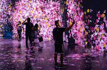 Immersive Art Experience
