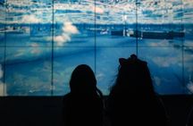 Immersive Art Experience