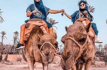 Marrakech Desert Camel Ride
