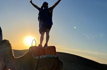 Agafay desert sunset camel ride Tour from Marrakech
