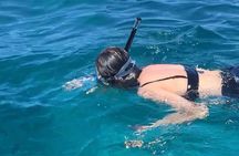 Luxury Swimming with DOLPHINS IN MNEMBA and LUNCH 